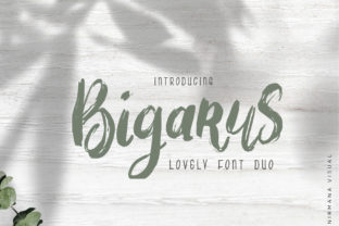 Bigarus: Where Handwritten Authenticity Meets Botanical Warmth in Modern Design