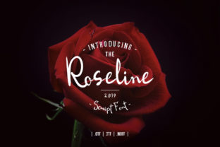 Roseline Script: Handwritten Elegance That Feels Real
