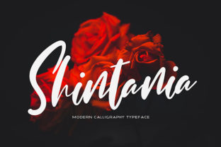 Shintania: A Romantic Script Font That Balances Expressiveness and Legibility